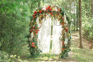 Wedding in the Woods