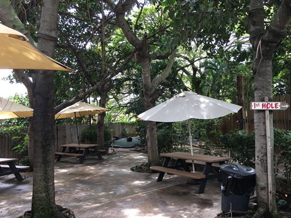 Tropics Mini Golf