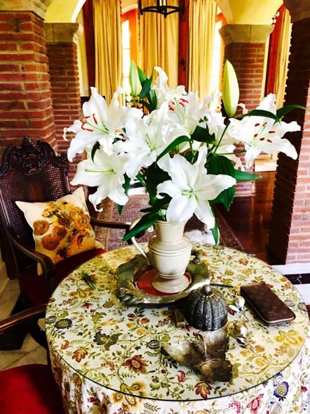 Belles Fleurs & Dessins