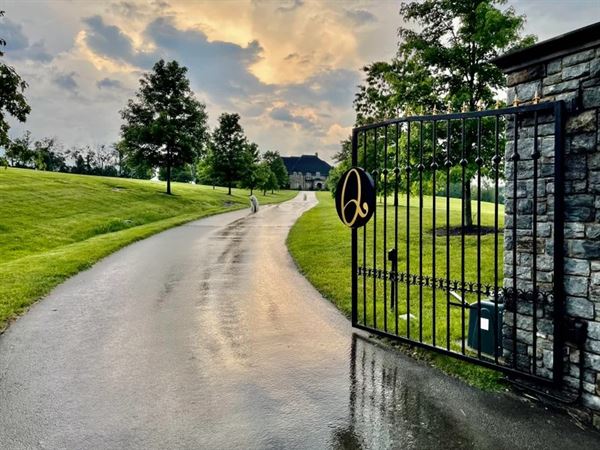 Belles Fleurs & Dessins