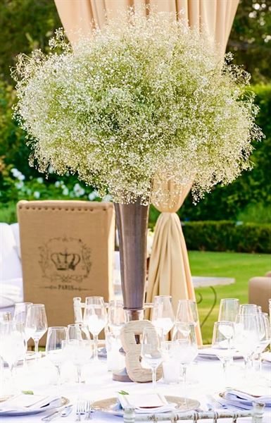 Belles Fleurs & Dessins