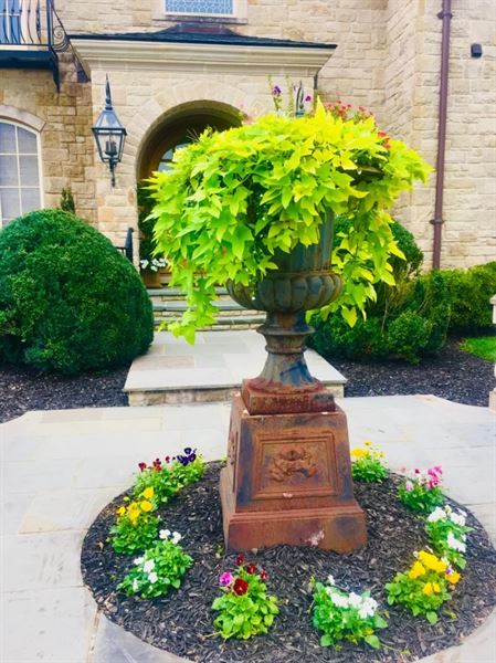 Belles Fleurs & Dessins