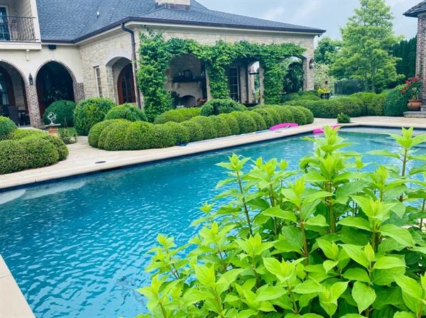 Belles Fleurs & Dessins