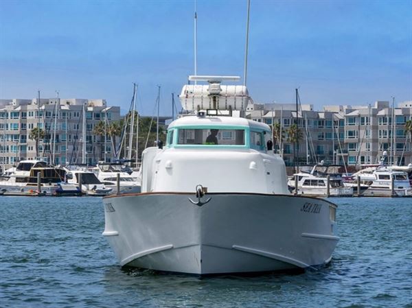 Sea Trek Celebrations