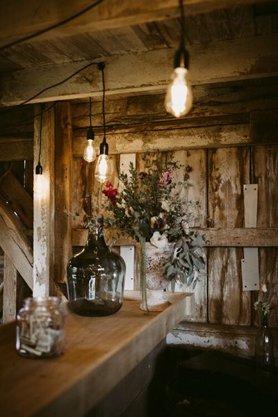 Magnolia Spring Farm