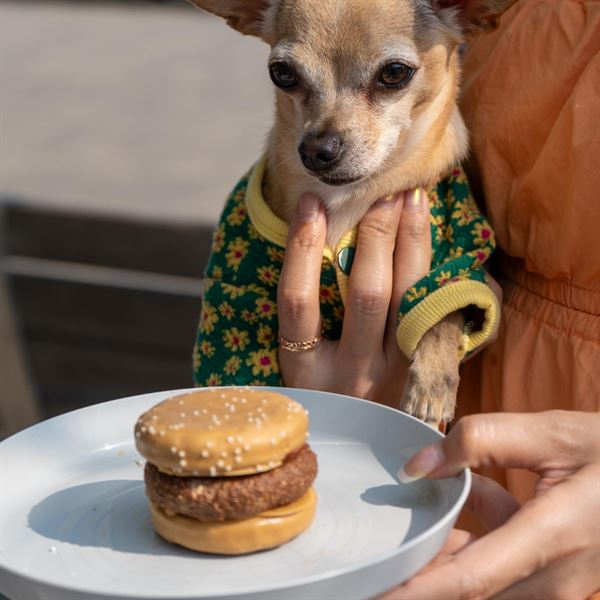 The Goodman Pub and Kitchen