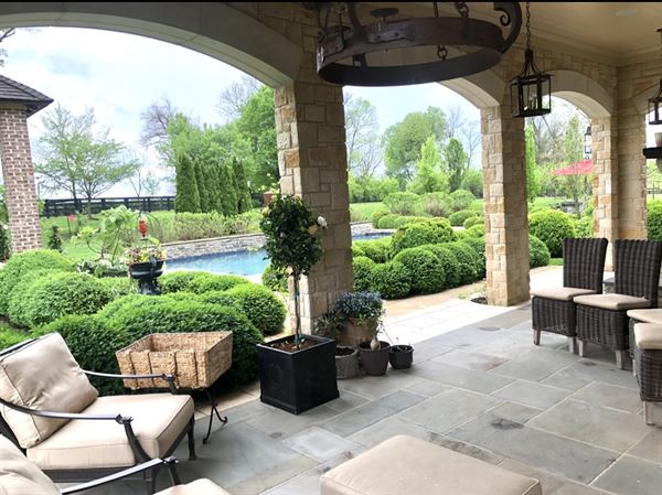 Belles Fleurs & Dessins