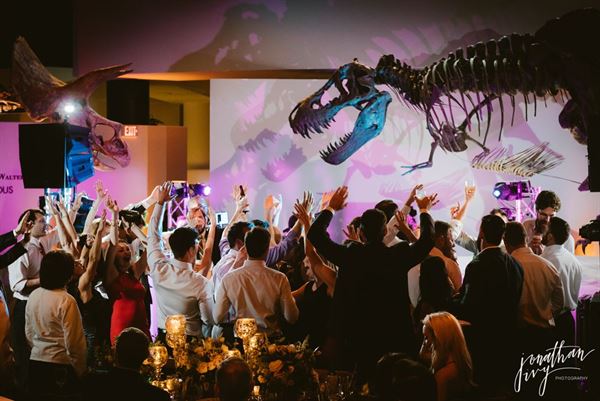 The Houston Museum of Natural Science