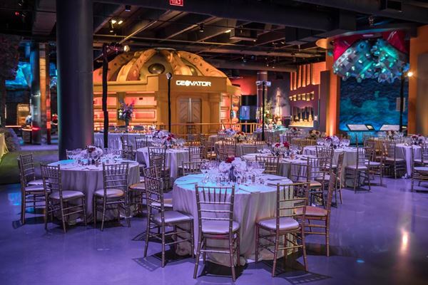 The Houston Museum of Natural Science