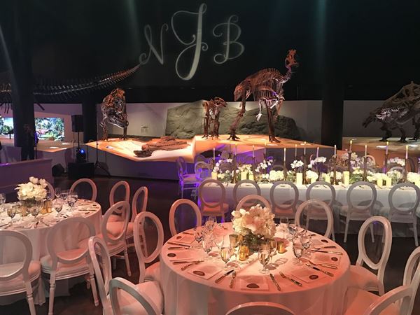 The Houston Museum of Natural Science