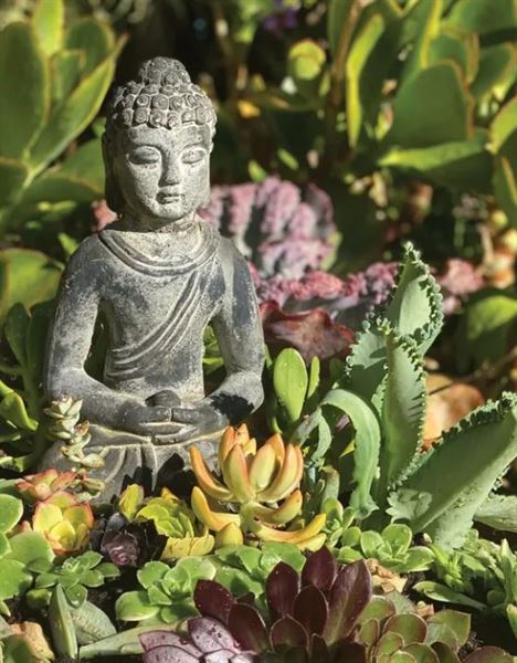 Avocado House Sanctuary & Garden Spa