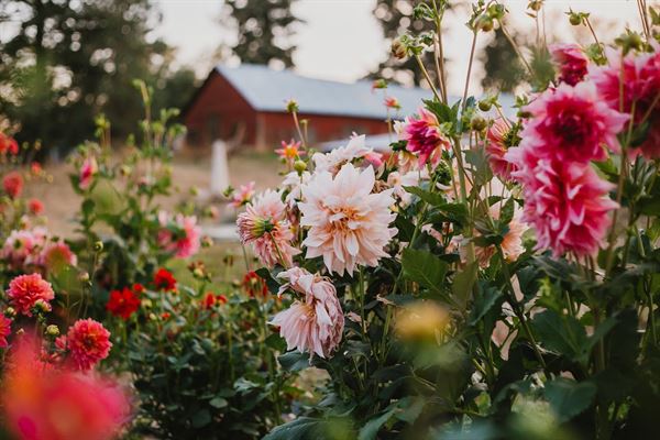 The Glasshouse on Monroe