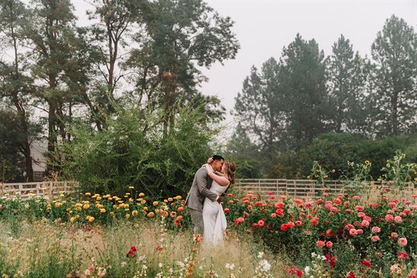 The Glasshouse on Monroe