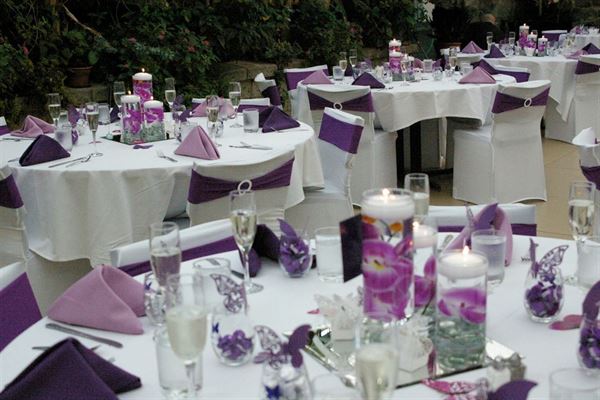 Magic Wings Butterfly Conservatory