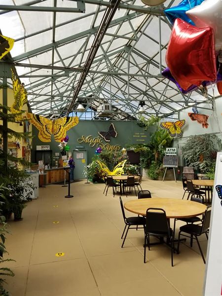 Magic Wings Butterfly Conservatory