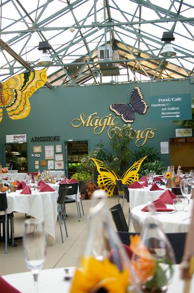 Magic Wings Butterfly Conservatory