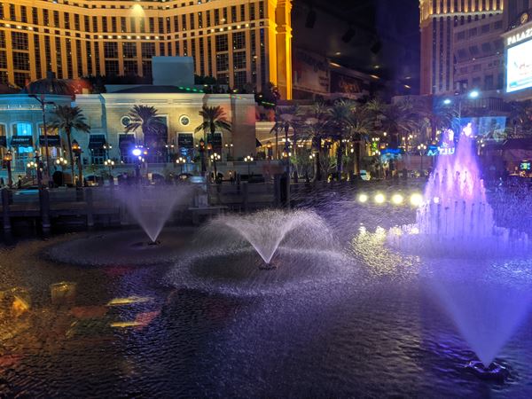 Señor Frog's Las Vegas