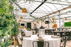 Blake’s Backyard Greenhouse