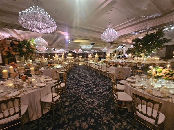 Red Carpet Bar and Event Services