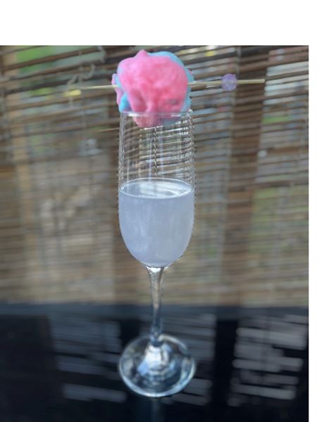 Champagne Sisters Mobile Bartending