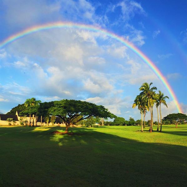 Honbushin International Center