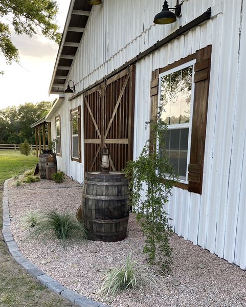 King George Lavender