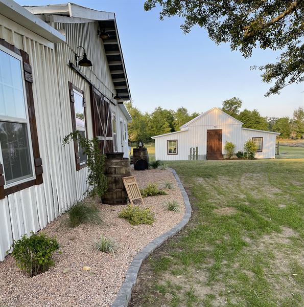 King George Lavender