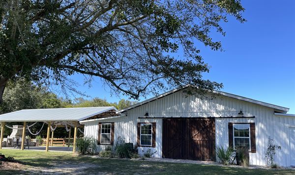 King George Lavender