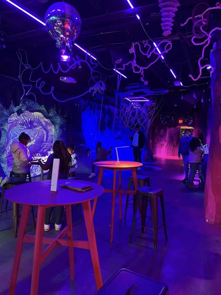 The Looking Glass at Ix Art Park