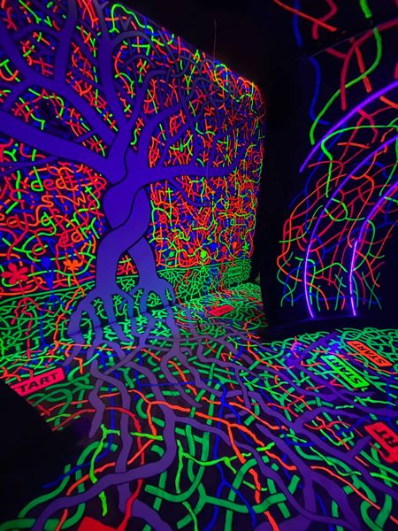 The Looking Glass at Ix Art Park