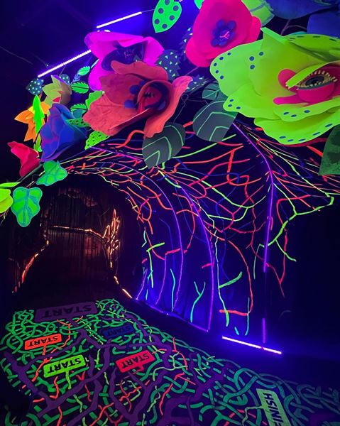 The Looking Glass at Ix Art Park