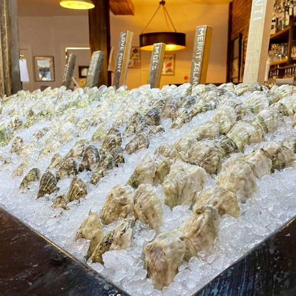 Maine Oyster Company