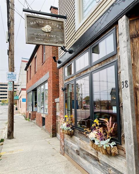 Maine Oyster Company