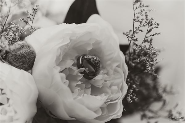 Digital Perception Media