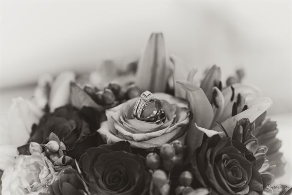 Digital Perception Media