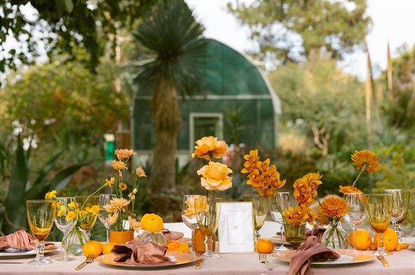 The Ruth Bancroft Garden and Nursery