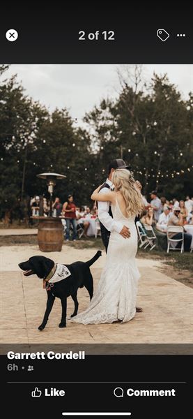 Quaking Aspen Springs- Rustic Ranch Venue