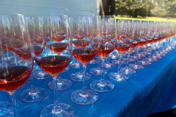 EcoAngle Photography