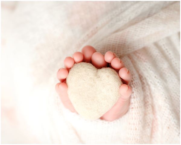 Andria Lancaster Photography