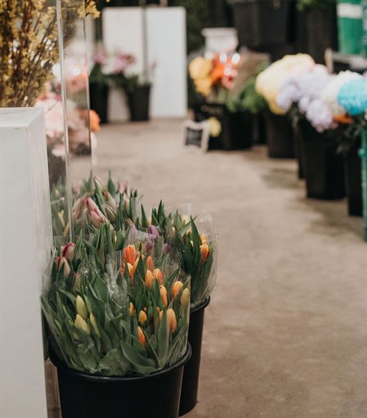 The Flower Shop at Thiessen's