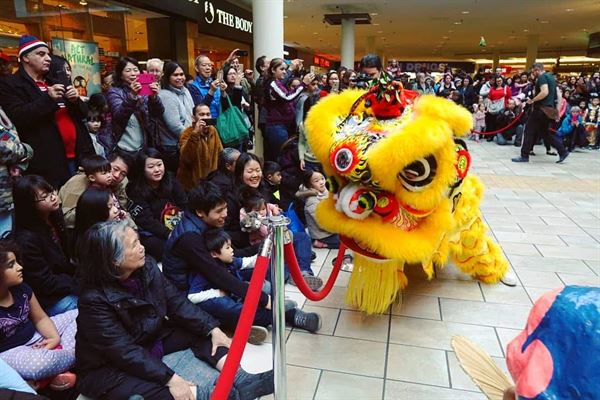 Bak Mei Vancouver Lion Dance Team