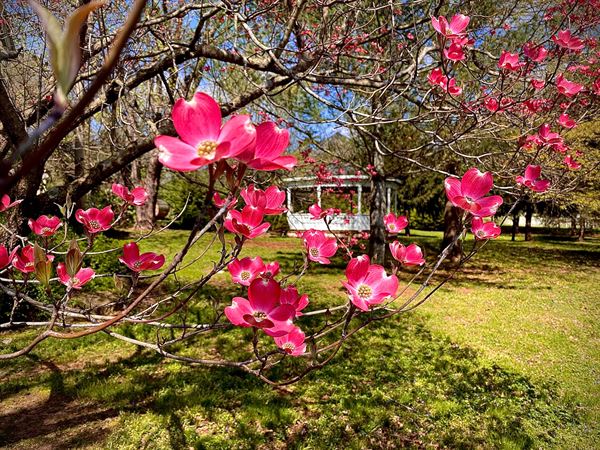 Old Caledonian Bed & Breakfast