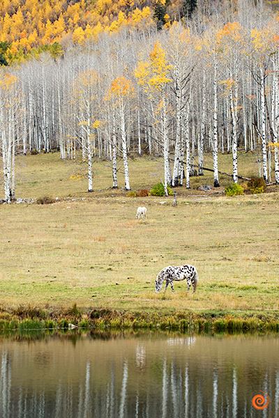 Universal Images Photography (MYUNIVERSALIMAGES)