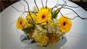 Karrie Hlista  Designs