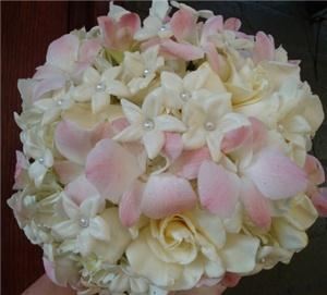 Karrie Hlista  Designs