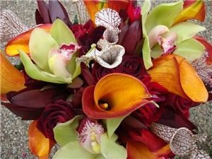 Karrie Hlista  Designs