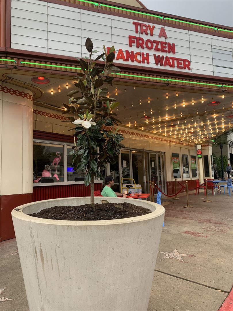 Bowlski's Lakewood Theater - Photo 6