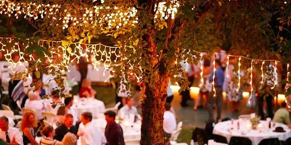 The Schrammsberg Estate