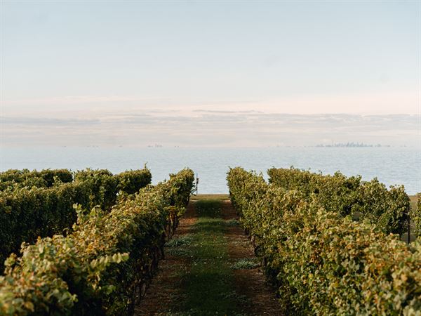 Konzelmann Estate Winery