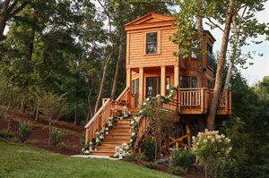 Honeymoon Treehouse